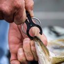 Système d'élimination de conservation G-Force Gen 2