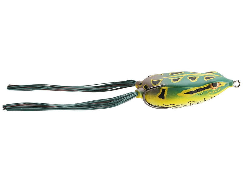 Grenouille Bronzeye 65