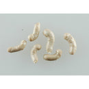 Gulp! Alive! Maggots