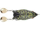 Bronzeye Blade Frog 65