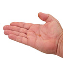 パワーベイト ウィップワーム 15 パック