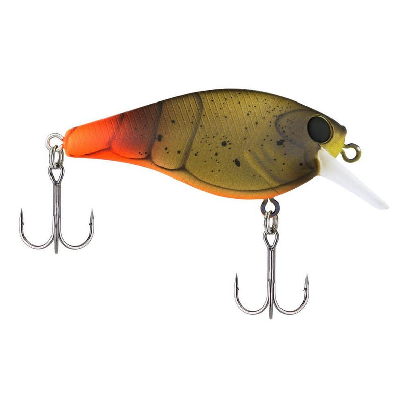 Crankbait Squarebull