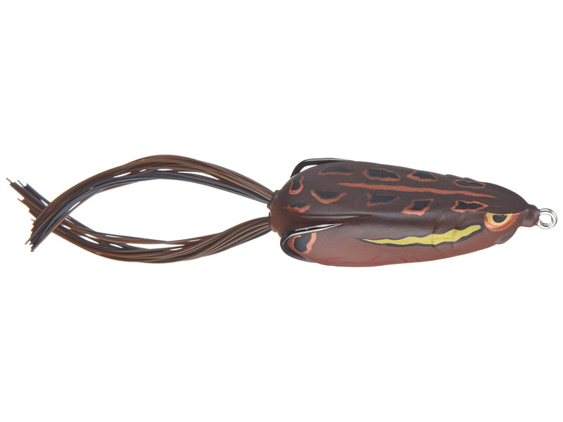 Alose bronzée 65
