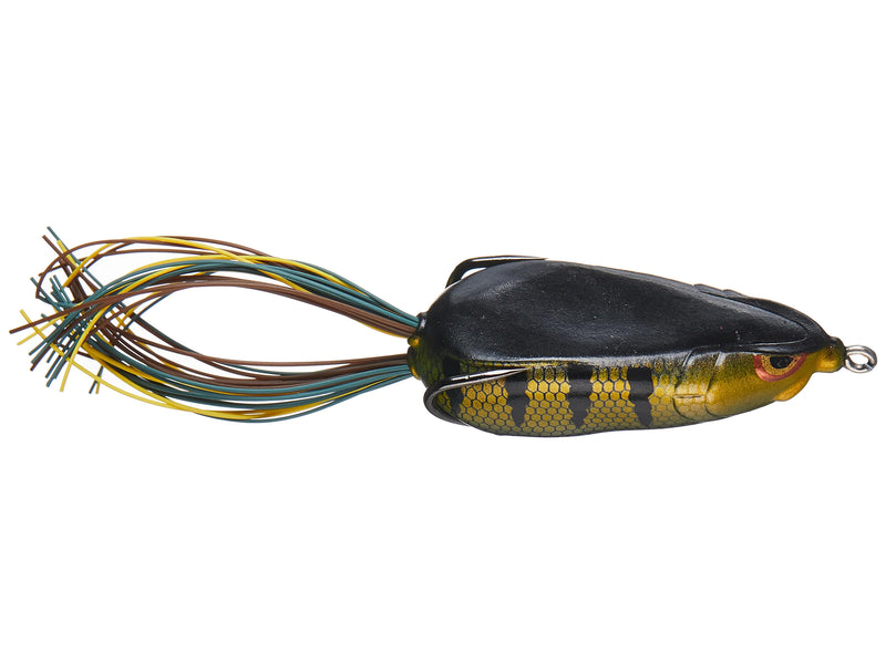 Alose bronzée 65