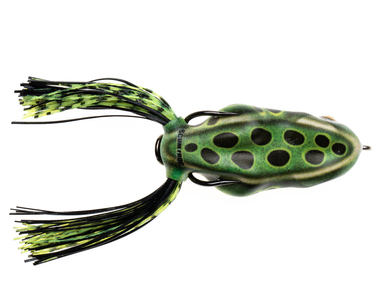 PAINTED-TROPHY---LEOPARD-