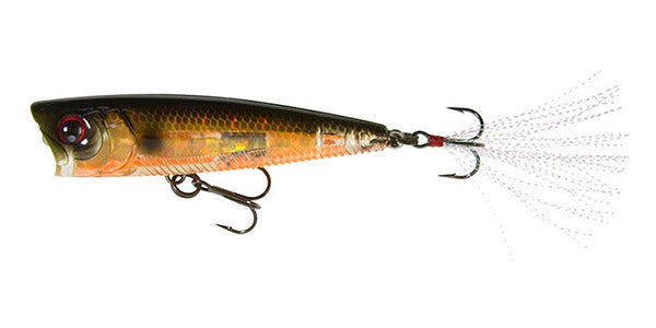 Popper 3DB