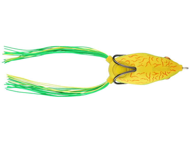 Grenouille Bronzeye 65