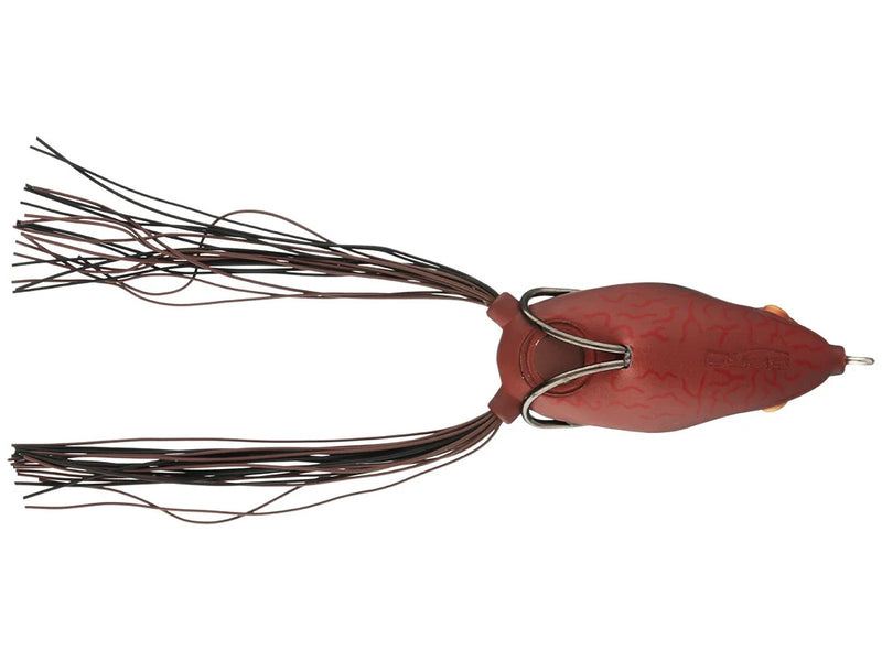 Grenouille Bronzeye 65