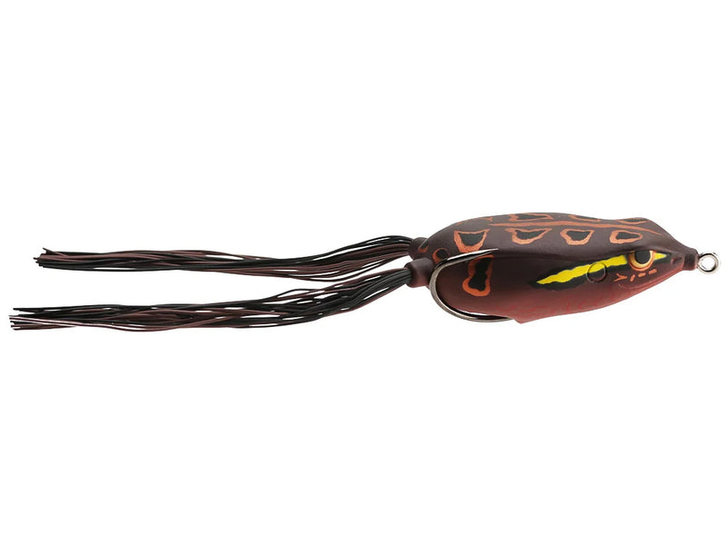 Grenouille Bronzeye 65