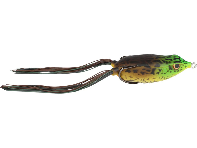 Grenouille Bronzeye 65