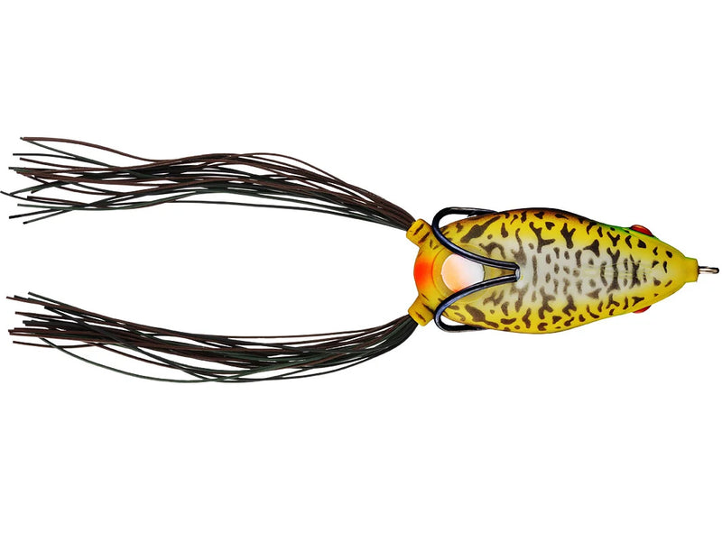 Grenouille Bronzeye 65