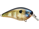 KVD Square Bill 1.5 Crank Bait Strike King Canada Ontario Quebec Tackle Lure Store Bass Pike Walleye Fishing