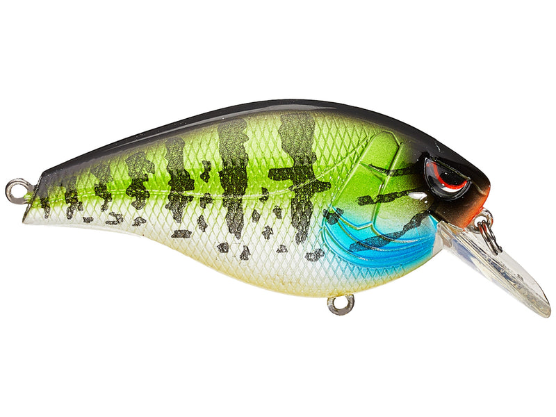 spro hunter 65 sqaurebill crankbait  fishing bass lure tackle canada pike walleye  ontario quebec tackle store