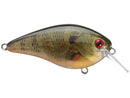 KVD Square Bill 1.5 Crank Bait Strike King Canada Ontario Quebec Tackle Lure Store Bass Pike Walleye Fishing