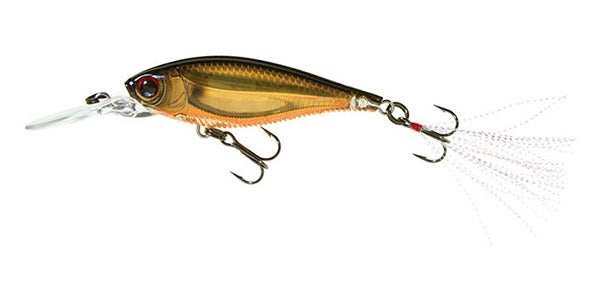 3DB Shad