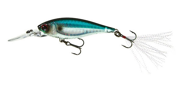 3DB Shad