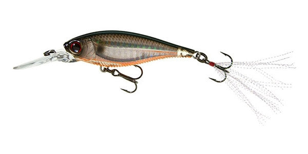 3DB Shad