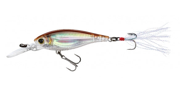 3DB Shad