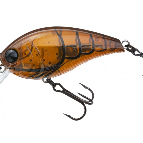 squarebill_browncrawfish_600x6