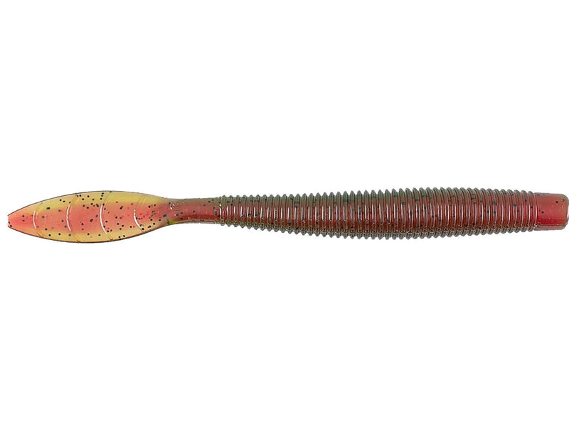 Quiver Worm